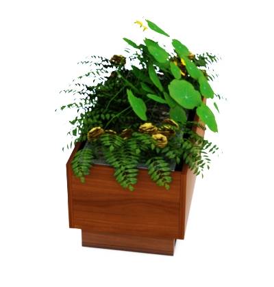 /images/attachments/products/0cf7bc28-2f13-48ed-ad2a-843c1a663d41/extract/Findik/image-3d-0076.jpg